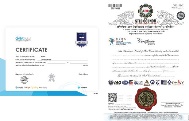 AvivDigital Digital Marketing Certificates